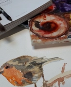 Een roodborstje geschilderd met aquarel verf